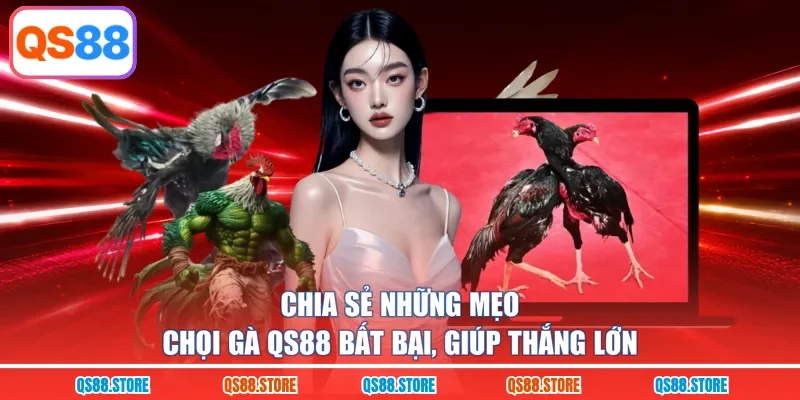 Chia sẻ những mẹo chọi gà QS88 bất bại, giúp thắng lớn