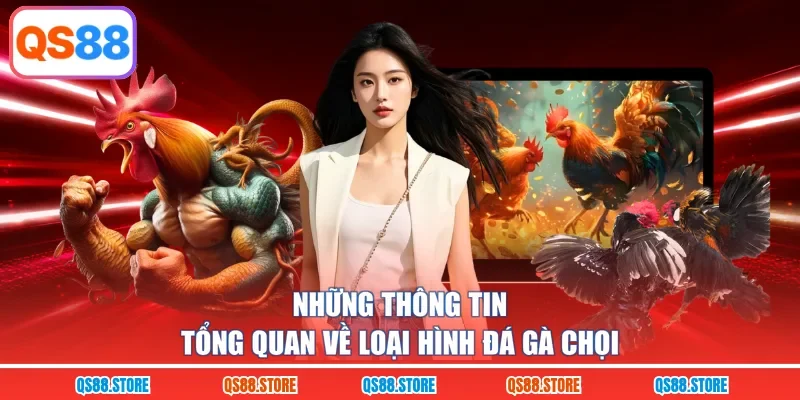 Những thông tin tổng quan về loại hình đá gà chọi
